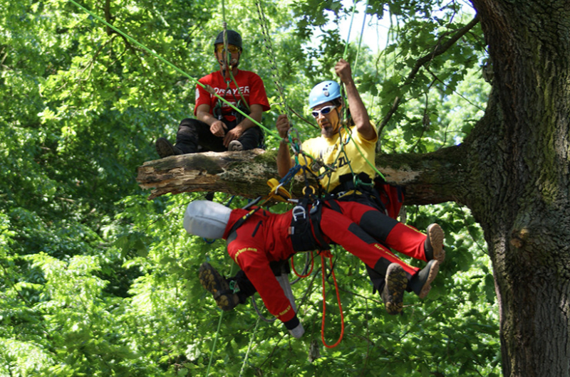 boomverzorging-reddend-klimmen-in-bomen.jpg